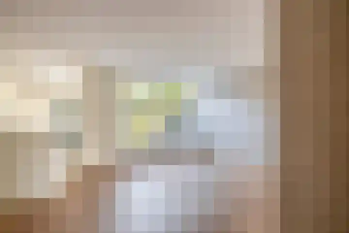 Brahmsstraat 4 Lisse thumbnail 4