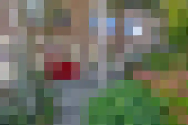Brahmsstraat 4 Lisse thumbnail 40