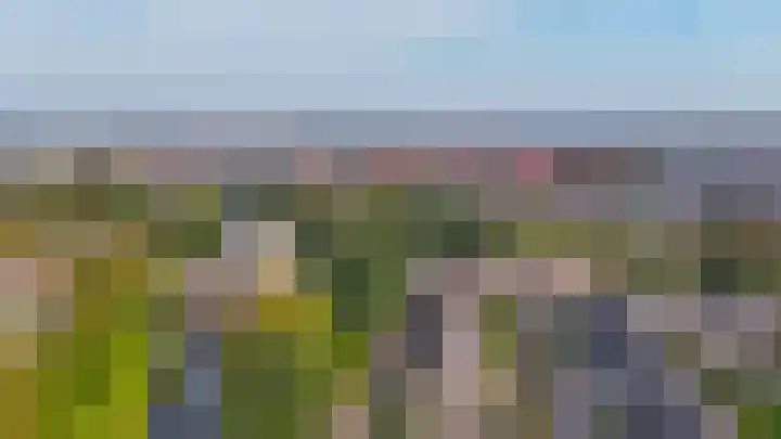 Brahmsstraat 4 Lisse thumbnail 43