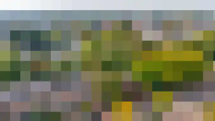 Brahmsstraat 4 Lisse thumbnail 47