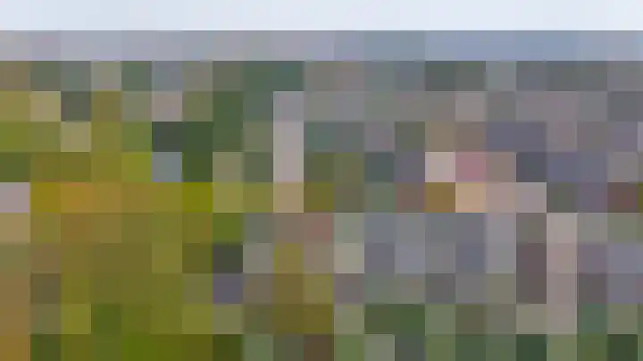 Brahmsstraat 4 Lisse thumbnail 48