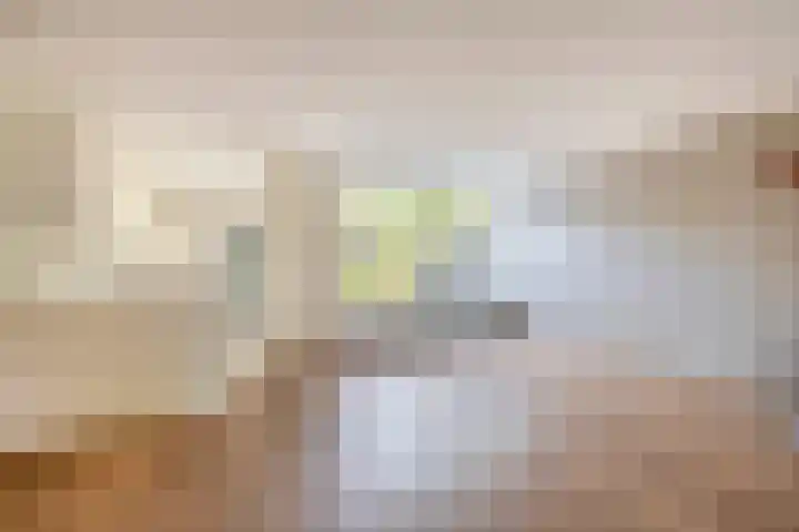 Brahmsstraat 4 Lisse thumbnail 7