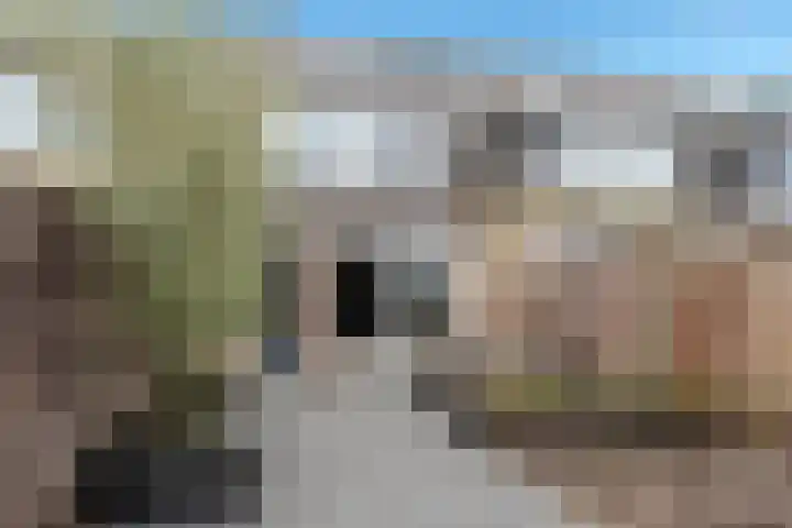 Brahmsstraat 59 Barendrecht thumbnail 4