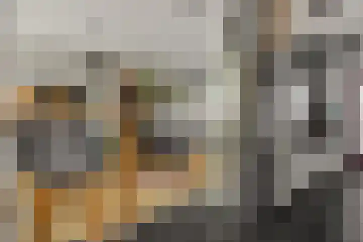 Brahmsstraat 6 Deurne thumbnail 16