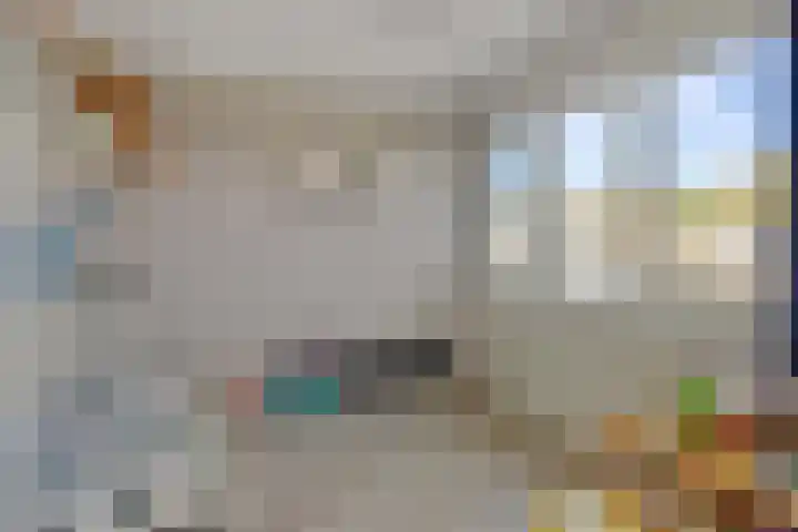 Brahmsstraat 6 Deurne thumbnail 18