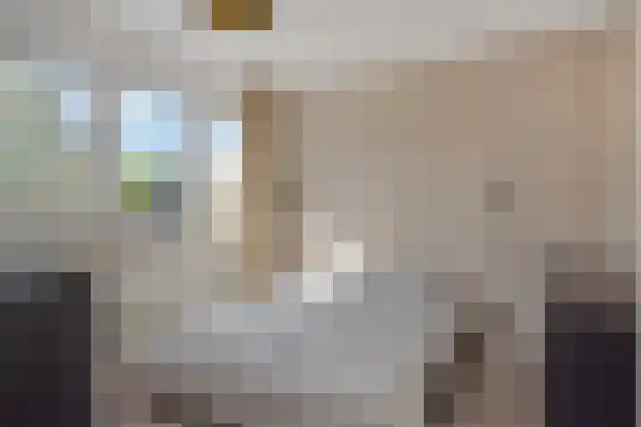 Brahmsstraat 6 Deurne thumbnail 19
