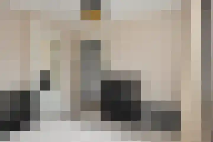 Brahmsstraat 6 Deurne thumbnail 20