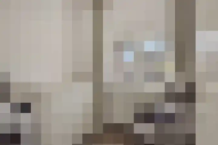 Brahmsstraat 6 Deurne thumbnail 21
