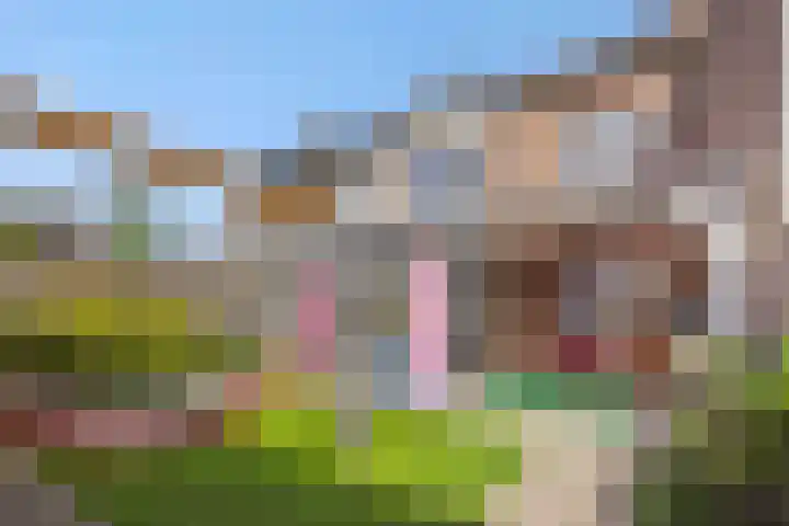 Brahmsstraat 6 Deurne thumbnail 24