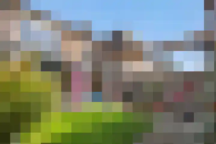 Brahmsstraat 6 Deurne thumbnail 25
