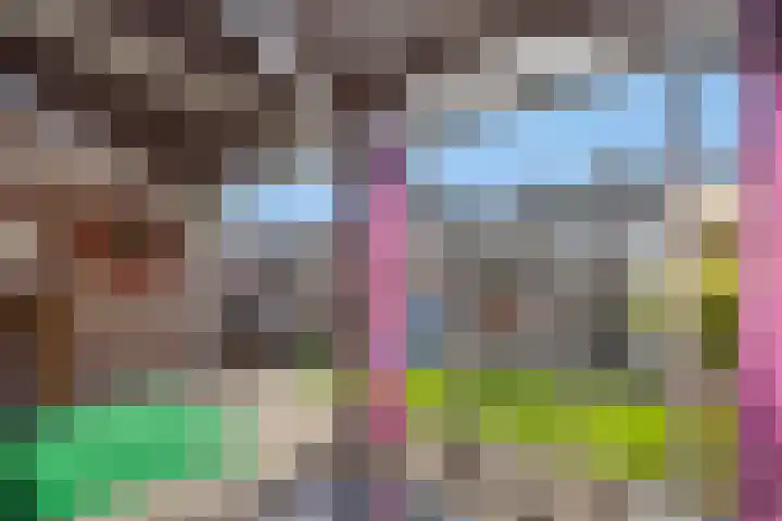 Brahmsstraat 6 Deurne thumbnail 27