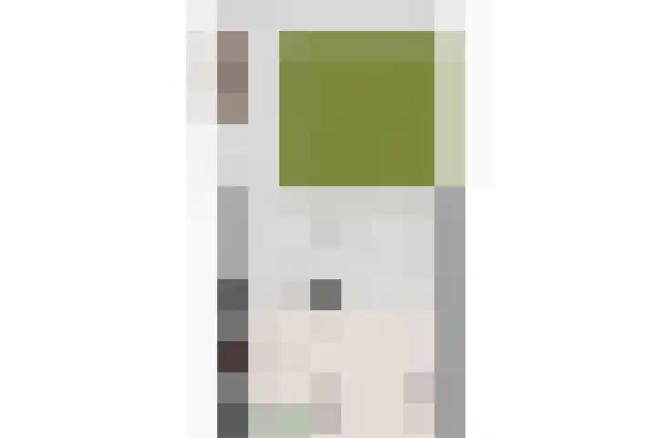 Brahmsstraat 6 Deurne thumbnail 39