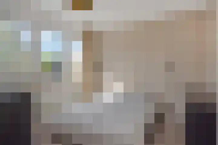 Brahmsstraat 6 Deurne thumbnail 4
