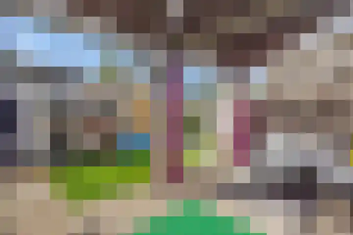 Brahmsstraat 6 Deurne thumbnail 5