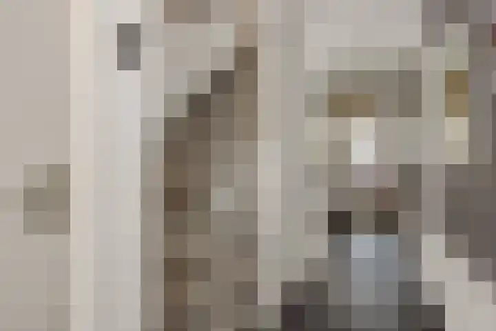Brahmsstraat 6 Deurne thumbnail 8