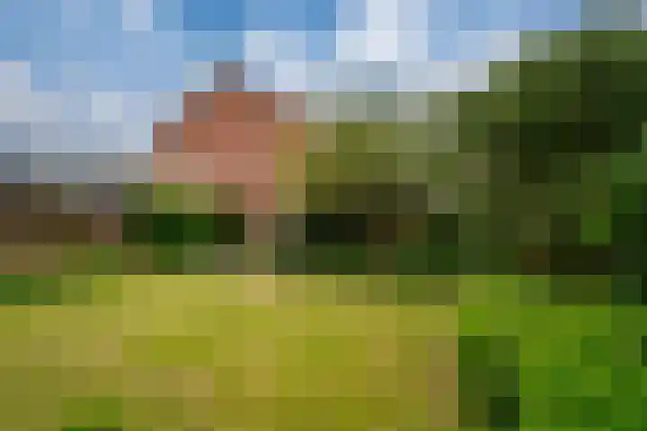 Brahmsstraat 6 Zevenaar thumbnail 18