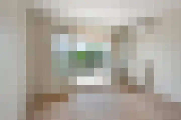 Brahmsstraat 61 Elst thumbnail 18