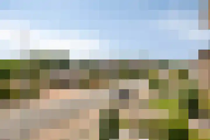 Brahmsstraat 61 Elst thumbnail 22