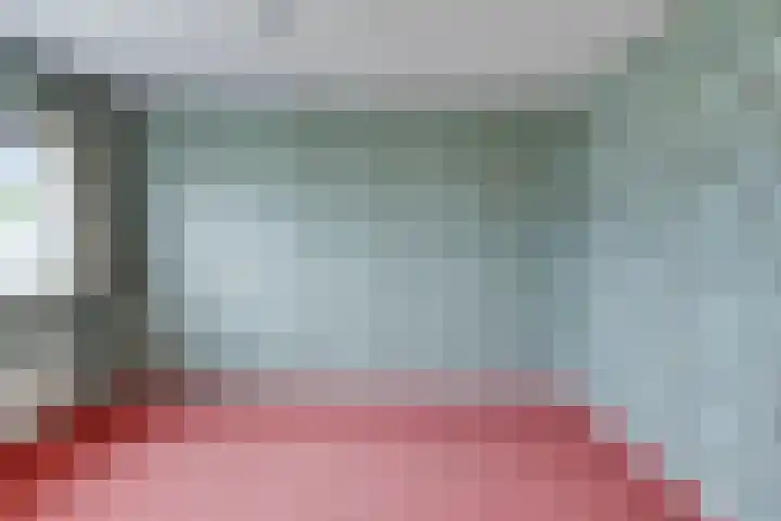 Brahmsstraat 61 Elst thumbnail 24