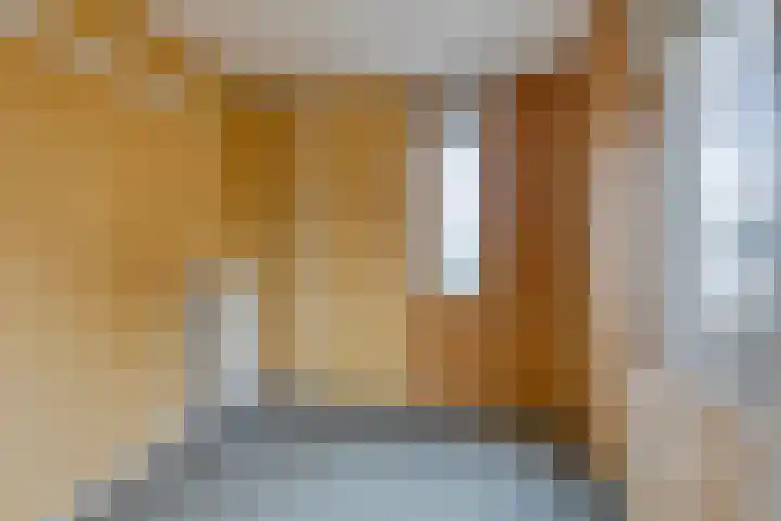 Brahmsstraat 61 Elst thumbnail 26