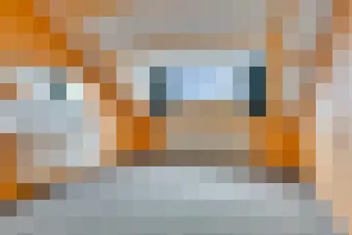 Brahmsstraat 61 Elst thumbnail 31