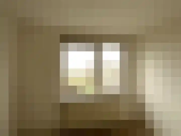 Brahmsstraat 61 Elst thumbnail 33