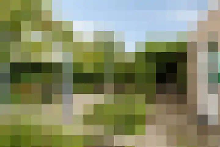 Brahmsstraat 61 Elst thumbnail 34