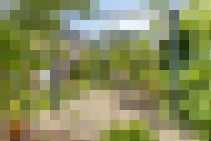 Brahmsstraat 61 Elst thumbnail 35