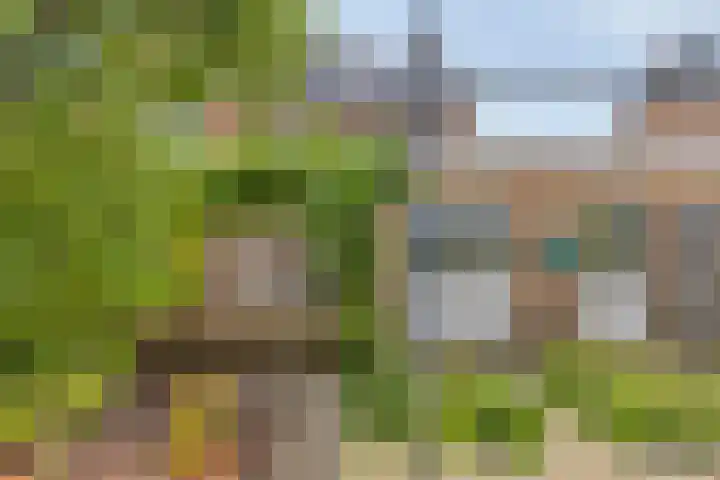 Brahmsstraat 61 Elst thumbnail 36