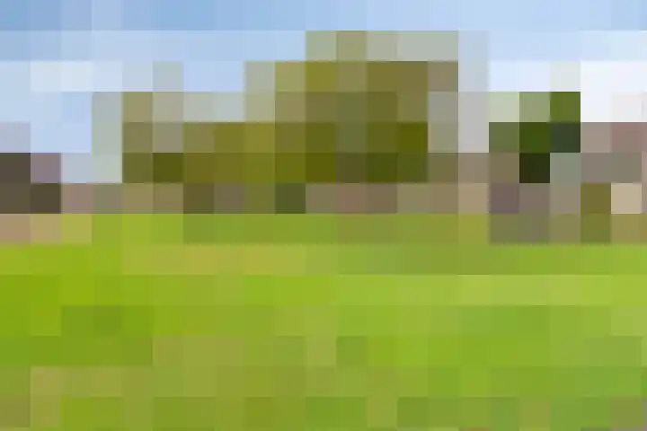 Brahmsstraat 61 Elst thumbnail 37
