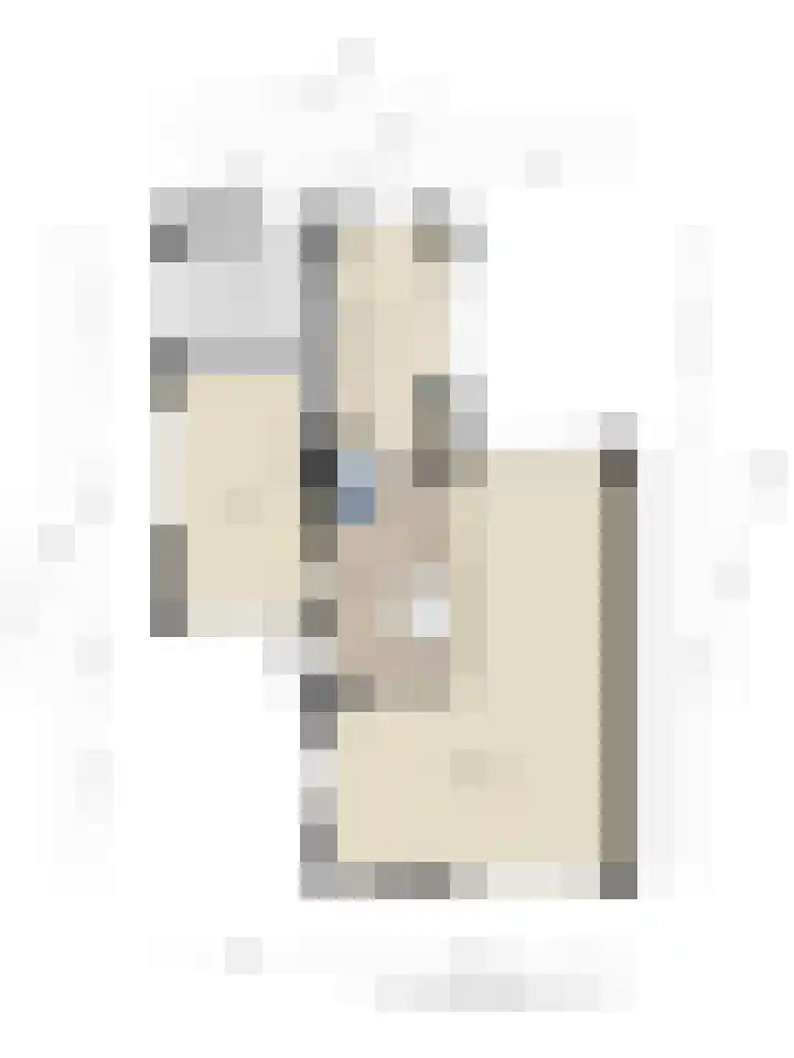 Brahmsstraat 61 Elst thumbnail 38