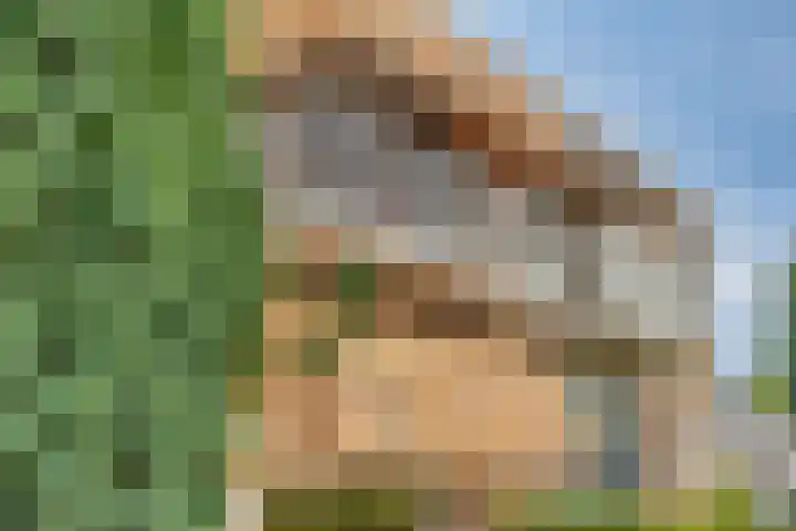Brahmsstraat 61 Elst thumbnail 4
