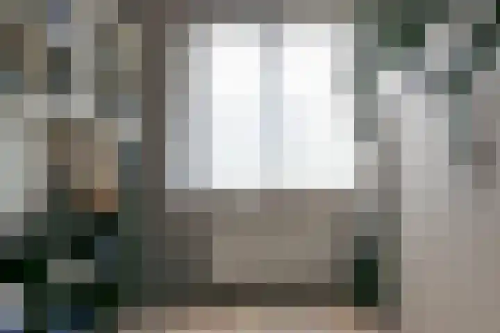 Brahmsstraat 61 Elst thumbnail 8