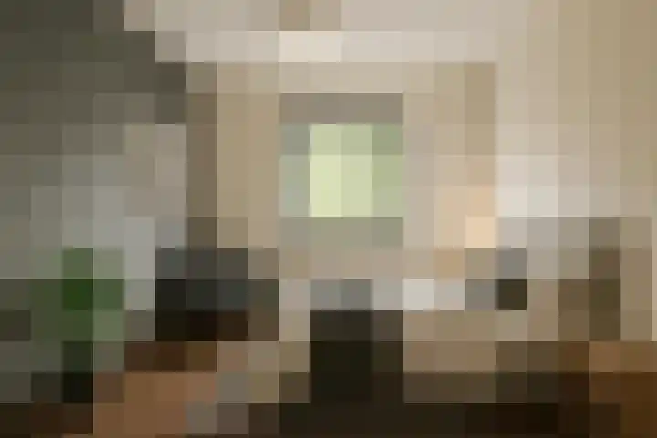 Brahmsstraat 69 Purmerend thumbnail 13