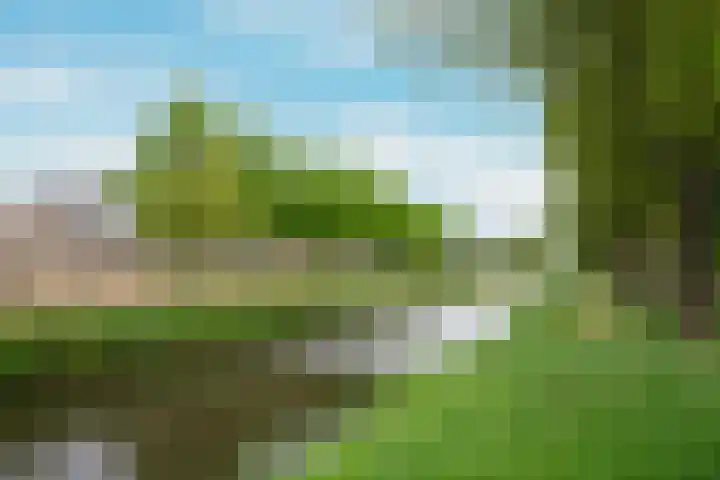 Brahmsstraat 69 Purmerend thumbnail 25