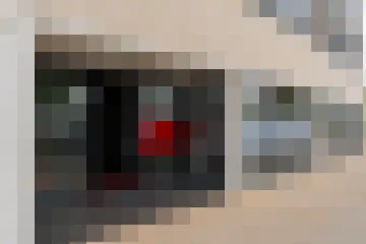Brahmsstraat 69 Purmerend thumbnail 35