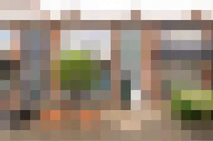 Brahmsstraat 7 Culemborg