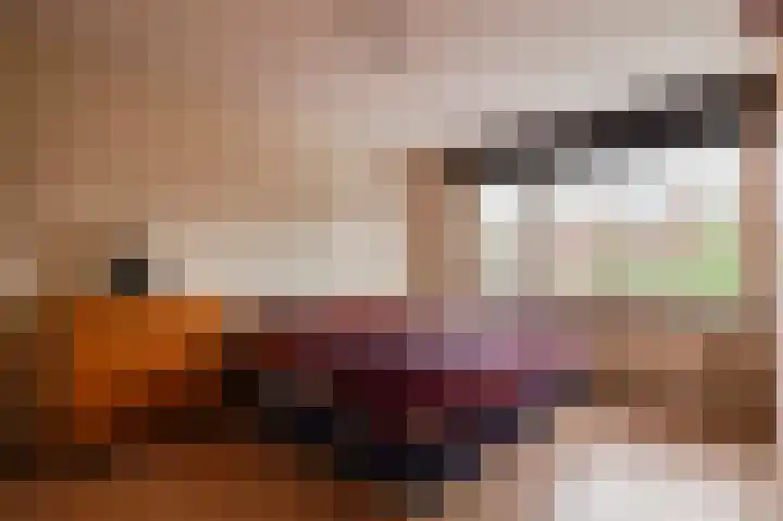 Brahmsstraat 7 Culemborg thumbnail 21