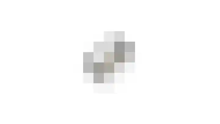 Brahmsstraat 7 Culemborg thumbnail 35