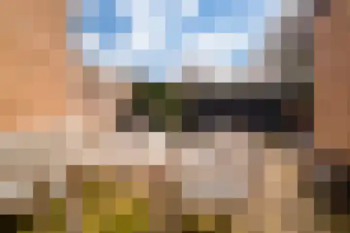 Brahmsstraat 9 Zevenaar thumbnail 4