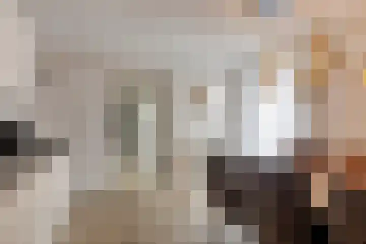 Braillestraat 3 Grave thumbnail 19