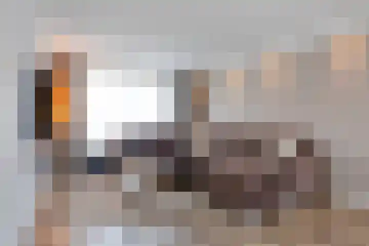 Braillestraat 3 Grave thumbnail 7