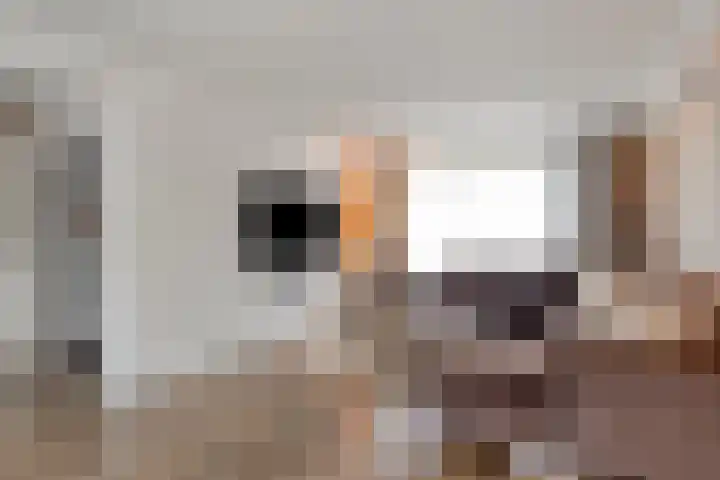 Braillestraat 3 Grave thumbnail 8
