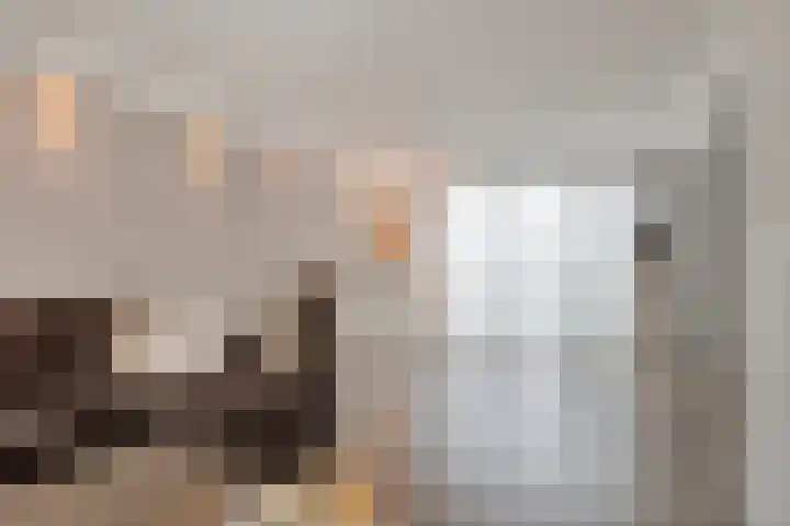 Braillestraat 3 Grave thumbnail 9