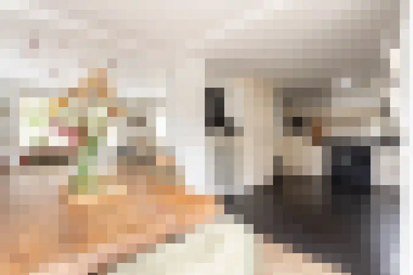 Brakersweg 17 Castricum thumbnail 11