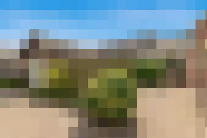 Brakersweg 43 Castricum thumbnail 27