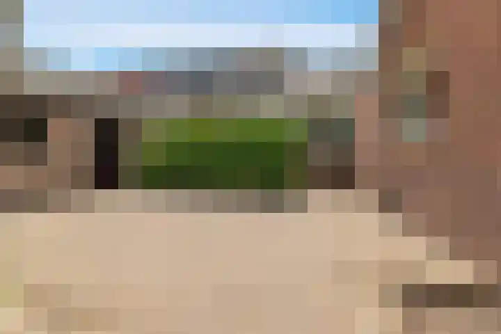 Brakersweg 43 Castricum thumbnail 28