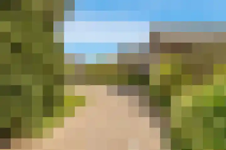 Brakersweg 43 Castricum thumbnail 29