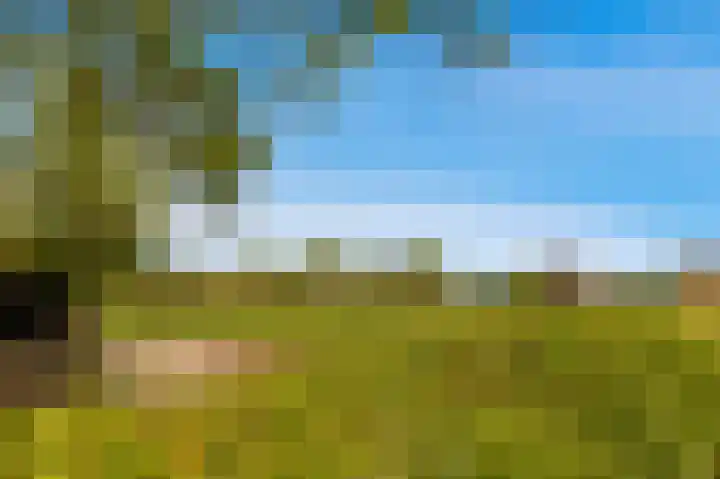 Brakersweg 43 Castricum thumbnail 32