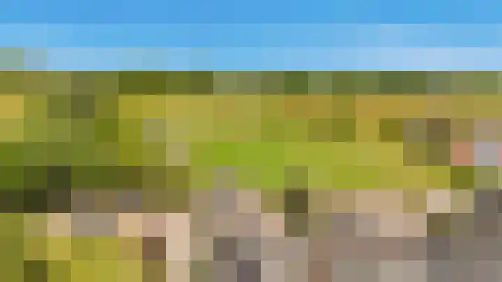 Brakersweg 43 Castricum thumbnail 39